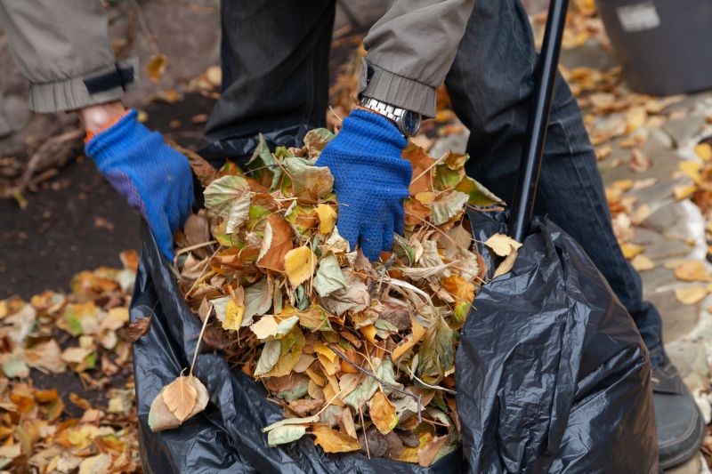 Leaf Collection Bags