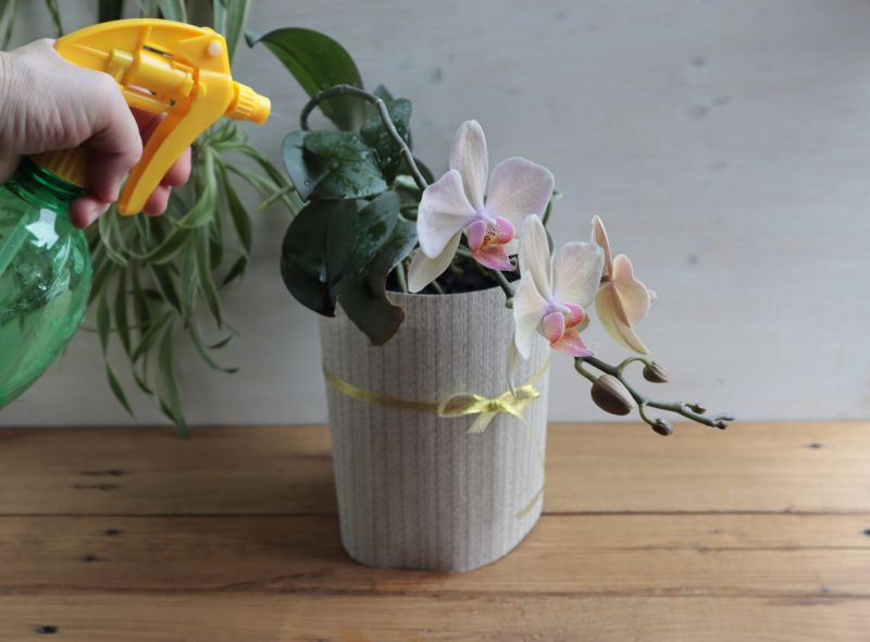 Plant Maintenance Services